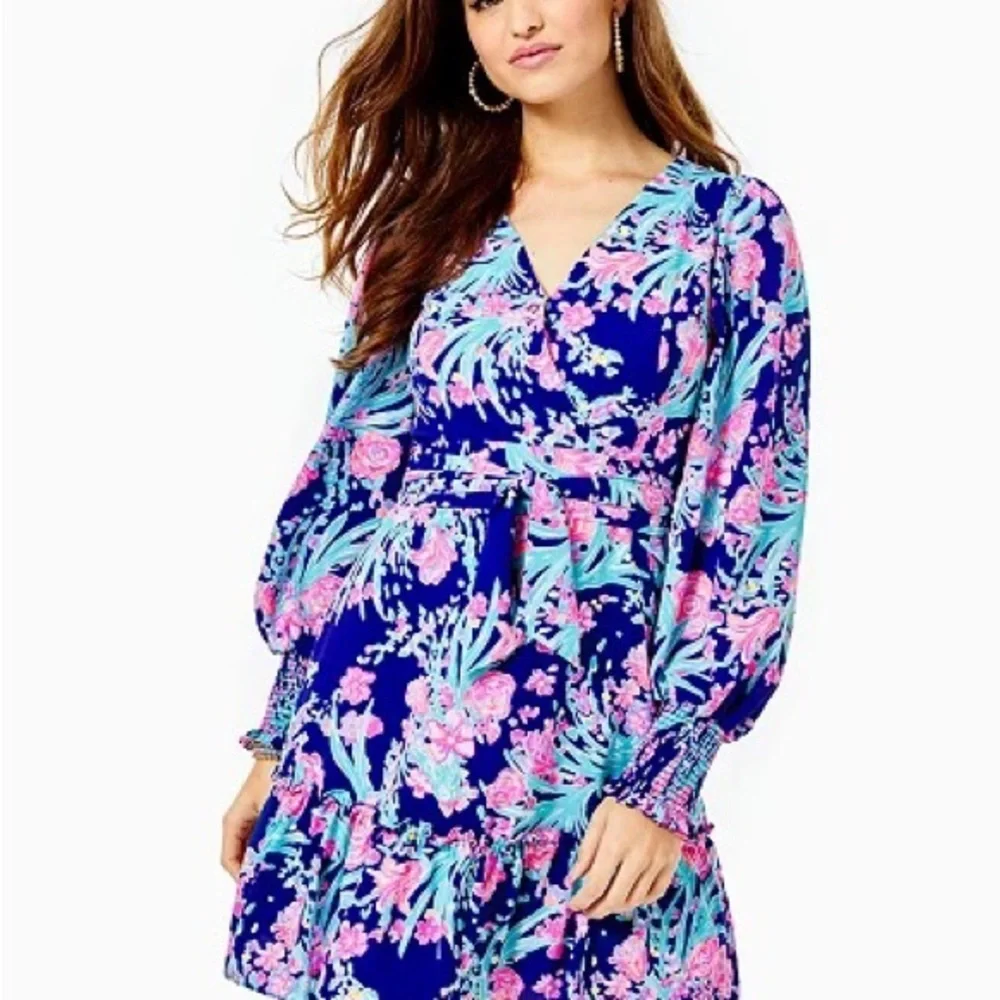 Lilly Pulitzer Rosie Stretch Dress Toucan Party - Picture 2 of 5